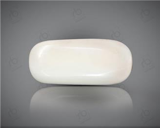 Natural White Coral ( Safed Mooga) Certified 8.58 CTS. ( 91525 )
